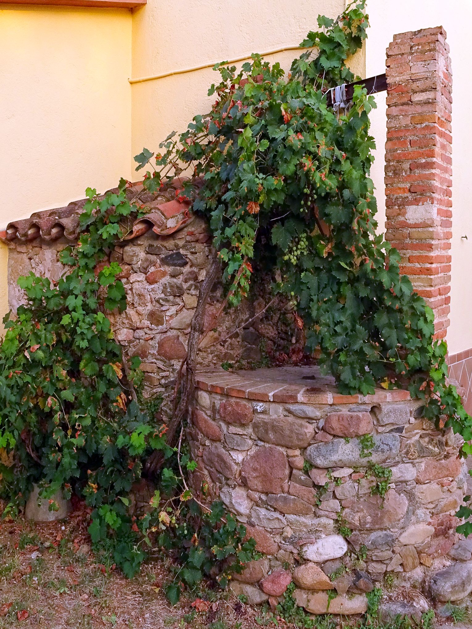 SECTOR MAS DORCA (1)